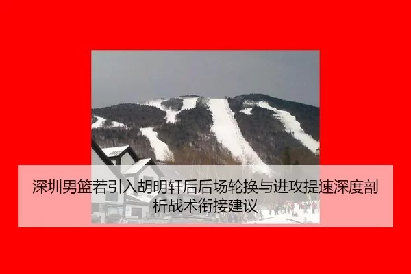 深圳男篮若引入胡明轩后后场轮换与进攻提速深度剖析战术衔接建议